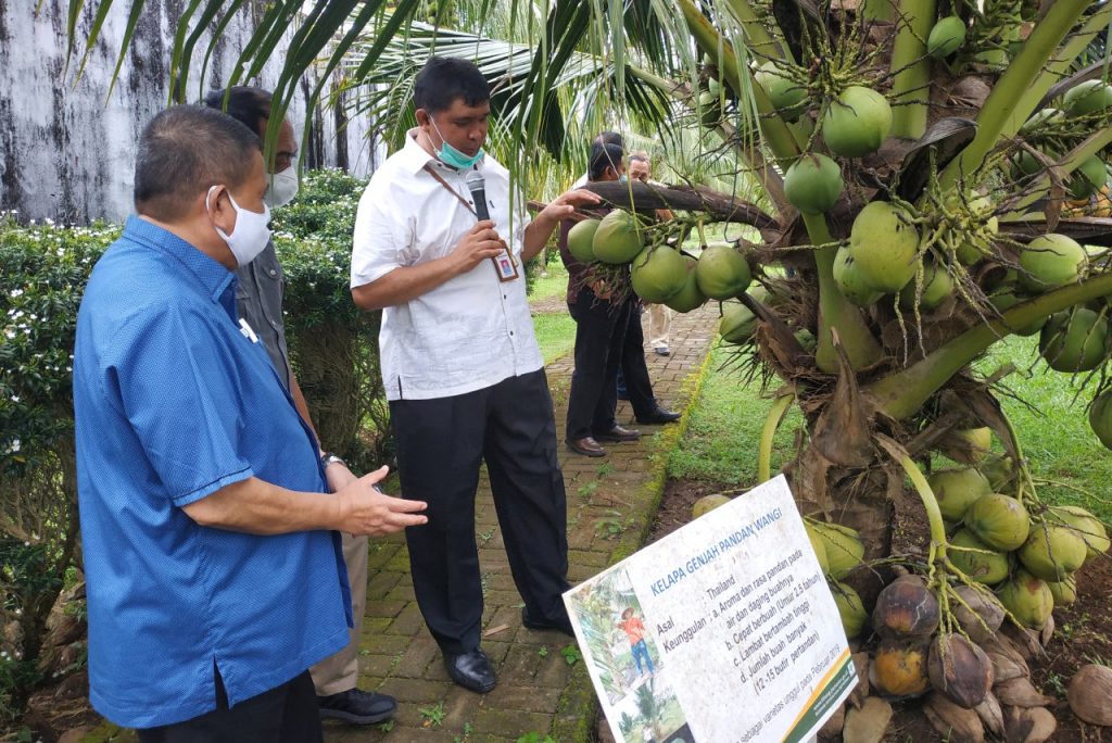Jalin Kerjasama Bersama Balit, Idris Harap Produksi Tanaman Kelapa Meningkat