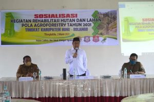 Lahan Kritis Capai 28 Ribu Hektar, Hamim Harap Dapat Dipulihkan