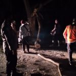Pohon Tumbang Tutupi Badan Jalan di Yosonegoro Telah Dibersihkan