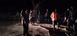 Pohon Tumbang Tutupi Badan Jalan di Yosonegoro Telah Dibersihkan