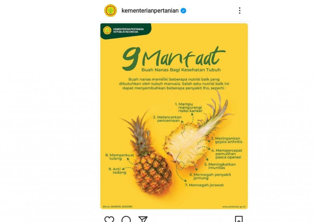 9 Manfaat Buah Nanas Bagi Kesehatan Tubuh, Salah Satunya Mencegah Jerawat