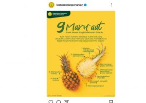 9 Manfaat Buah Nanas Bagi Kesehatan Tubuh, Salah Satunya Mencegah Jerawat