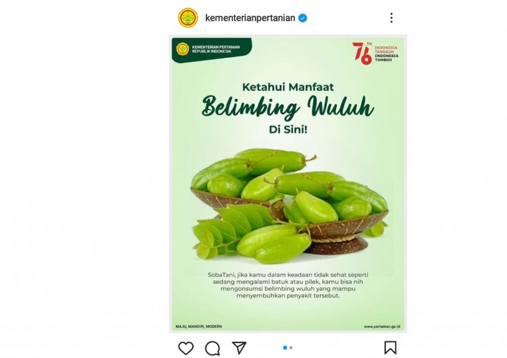Manfaat Belimbing Wuluh, Salah Satunya Membantu Menurunkan Berat Badan
