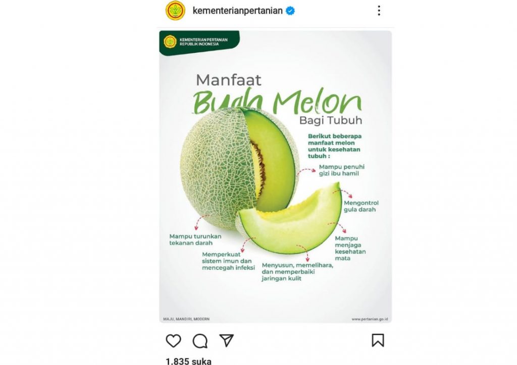 Lihat Yuk! Enam Manfaat Buah Melon bagi Tubuh