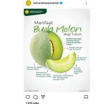Enam Manfaat Buah Melon bagi Tubuh