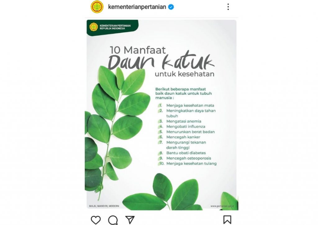 Baca Yuk! Manfaat Daun Katuk untuk Kesehatan