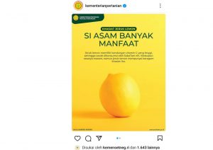8 Khasiat Jeruk Lemon