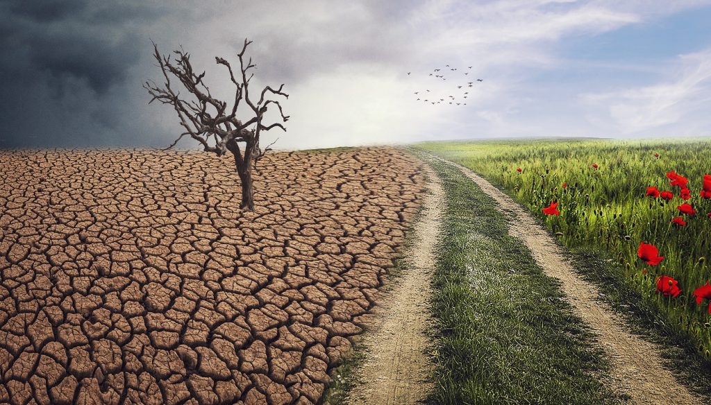 Dinamika Kebijakan Pemerintah dalam Menjaga Stabilitas Iklim di Indonesia