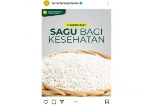 Manfaat Sagu Bagi Kesehatan