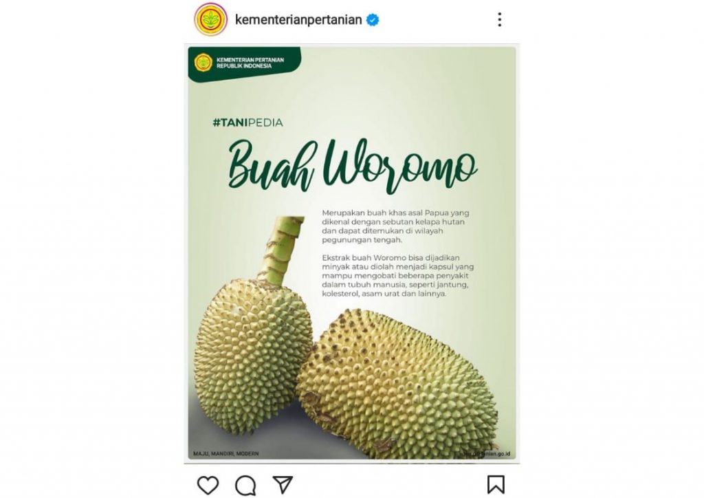 Manfaat Woromo Buah Khas Papua