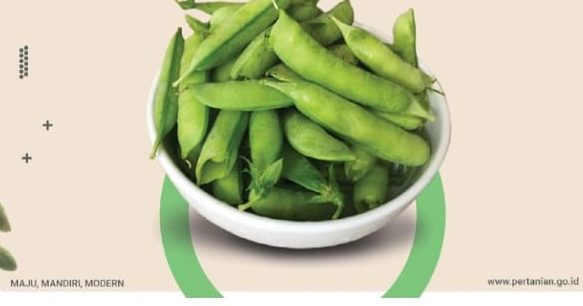 Manfaat Edamame untuk Kesehatan Tubuh