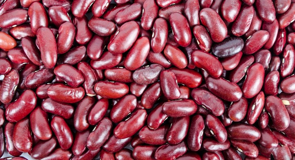 Punya Anemia? Cegah dengan Makanan Ini!