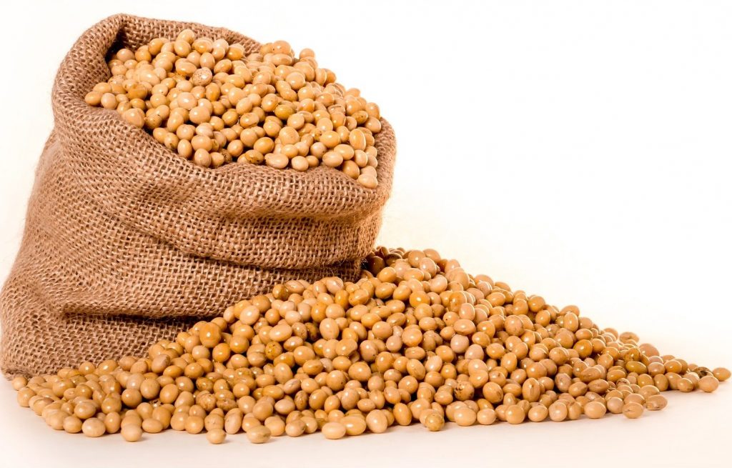 Manfaat Kacang Kedelai untuk Kesehatan Tubuh: Bikin Awet Muda