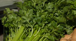 Sayuran Mungil Punya Segudang Manfaat untuk Tubuh