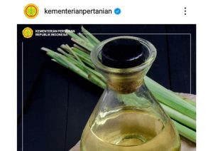 Manfaat Minyak Serai Wangi