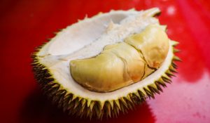 Manfaat Durian bagi Kesehatan Tubuh