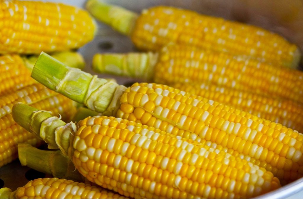 Ganti Nasi dengan Jagung, Ini Manfaatnya