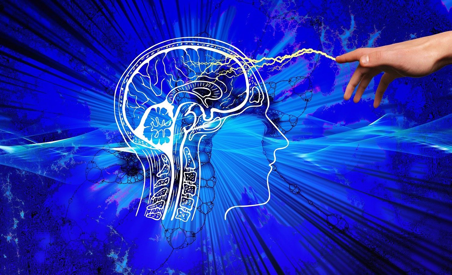 Makanan yang Diam-diam Menyakiti Otak Anda