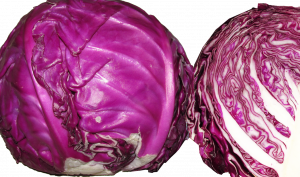 Kol Ungu Rendah Kalori Punya Banyak Manfaat