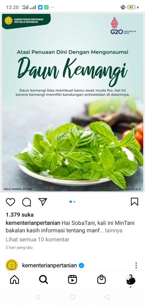 Wow, Mengkonsumsi Daun Kemangi Bisa Membuat Awet Muda