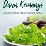 Mengkonsumsi Daun Kemangi Bisa Membuat Awet Muda