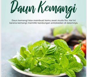 Wow, Mengkonsumsi Daun Kemangi Bisa Membuat Awet Muda