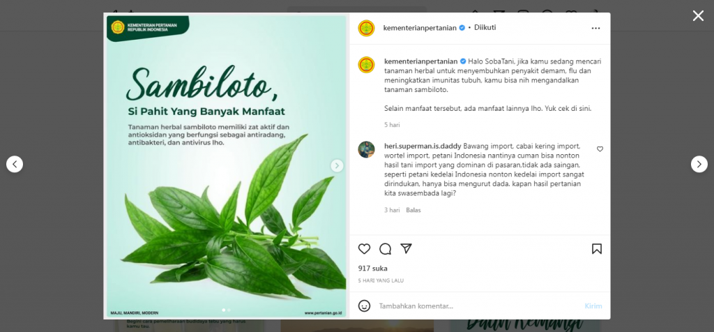 Lihat Yuk! Manfaat Sambiloto untuk Kesehatan