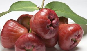 Manfaat Jambu Air dari Buah Hingga Batang Dapat Atasi Penyakit