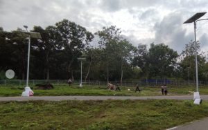 Penyelidikan Tewasnya Pembalap di Sirkuit Sang Profesor, Ahmad: Kita Sudah Minta Keterangan Saksi