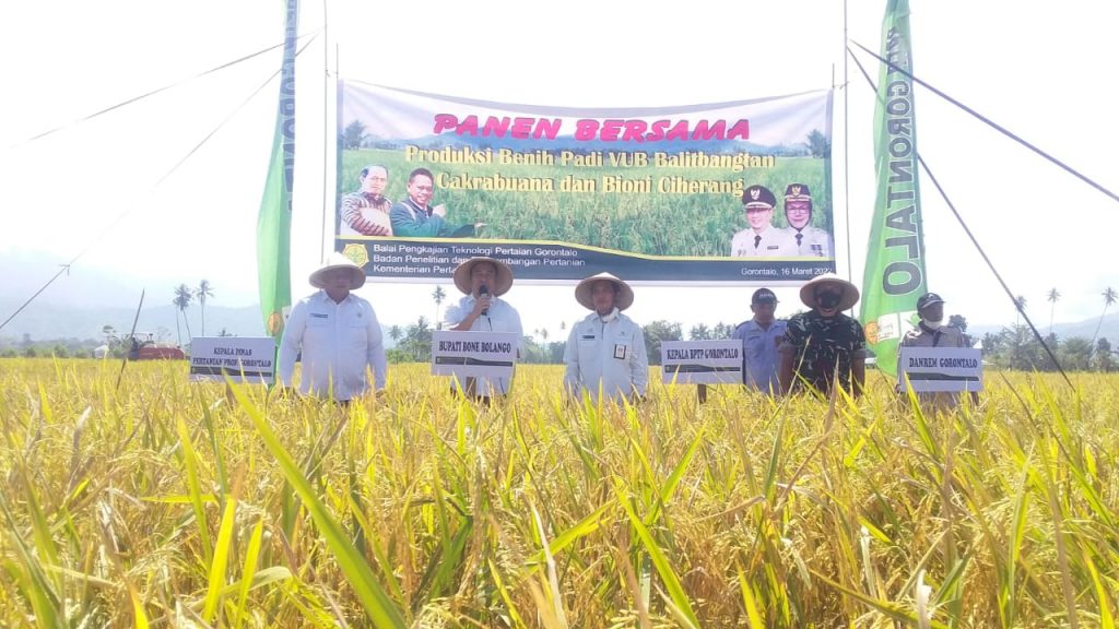 Waktu Penen 80 Hari, Hamim Ajak Petani Coba Benih Padi Varietas