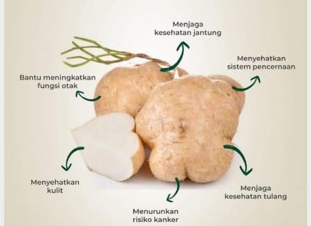 Manfaat Bengkoang: Menurunkan Berat Badan