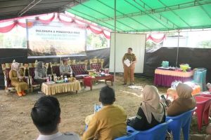 Hendriwan Menghadiri Panen Padi Varietas Inpari IR Nutri Zinc