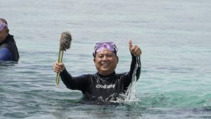 Selamatkan Terumbu Karang, Pemda Gorut Galakkan Pembersihan Crown of Thorn