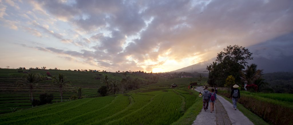 Desa Wisata Jatiluwih, Representasi Wisata Berkelanjutan di Indonesia