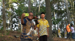 Sangat Indah, Objek Wisata Hutan Pinus di Gorontalo Utara