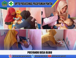 Sukseskan Bulan Timbang, Puskesmas Paguyaman Pantai Gelar Posyandu