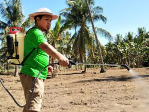 IKA UNHAS Gorontalo Menuju Lumbung Pangan Dunia