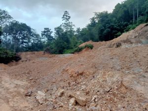 Sangadi Tolondadu I Dihadapkan Hukum: Proyek Jalan Perkebunan ADD Diduga Serobot Kawasan Hutan Produksi