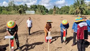 Boalemo Jadi Daerah Pertama Menanam Padi Gogo