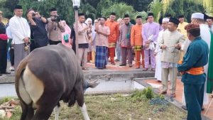 Idul Adha, Penjabup Sherman Serahkan Hewan Qurban