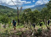 Tokoh Muda Desa Tulabolo Ajak Warga Hidupkan Kembali Gotong Royong Menanam Kacang