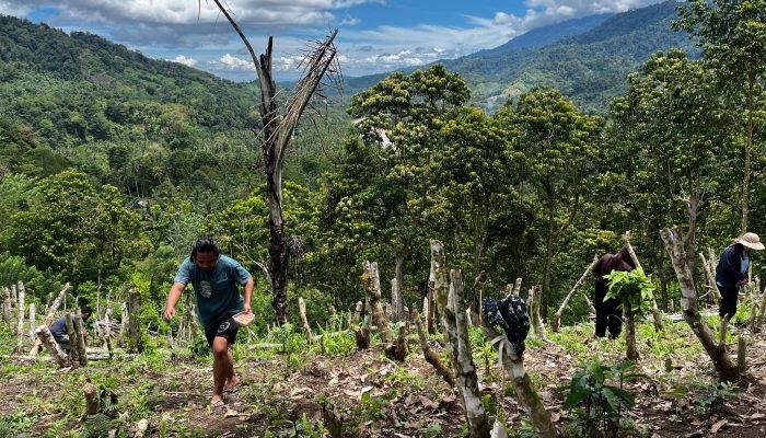 Tokoh Muda Desa Tulabolo Ajak Warga Hidupkan Kembali Gotong Royong Menanam Kacang
