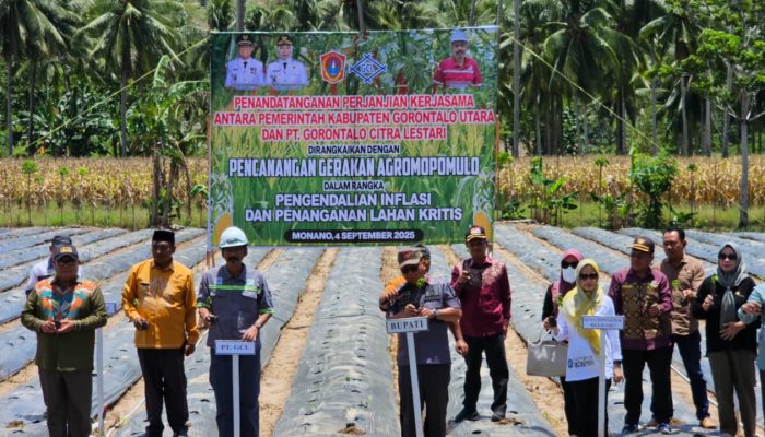 Bersinergi Bangun Daerah, PT GCL dan Pemda Gorut Canangkan Agromopomulo