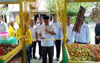 Resmikan Lapak BUMDes Karya Bersama, Sekda Gorut Dorong Kemandirian Ekonomi Desa Bualo