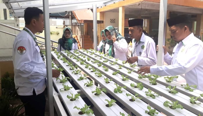 Usung Konsep Ekoteologi, Inovasi Hidroponik Kemenag Kota Gorontalo Pikat Jajaran Kemenag Bitung