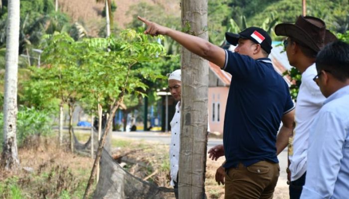 Pastikan Program “PAHAM” Optimal, Wabup Lahmuddin Tinjau Persiapan Lahan Penanaman Bibit Durian di Botumoito