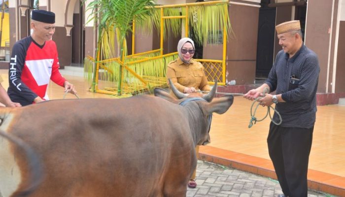 Wabup Gorut Serahkan Langsung Bantuan Hewan Kurban ke Takmirul Masjid Baiturrahim