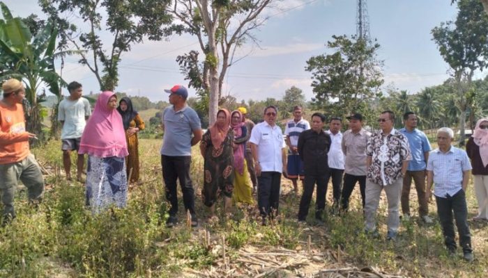 Tinjau Lokasi Pembangunan Sekolah Garuda di Gorut, DPRD Provinsi Gorontalo Berkomitmen Akomodasi Aspirasi Peternak dan Petani