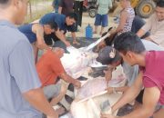 Wujud Kepedulian, Meski Belum Beroperasi PT Hartaka Daya Nusantara Sumbang 2 Ekor Sapi Kurban