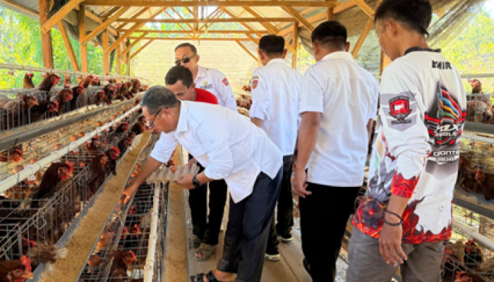 Dinas Peternakan Gorut Tegaskan Program G2-10 Plus Tetap Jadi Prioritas RPJMD